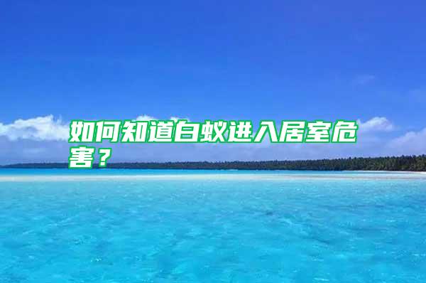 如何知道白蟻進入居室危害?