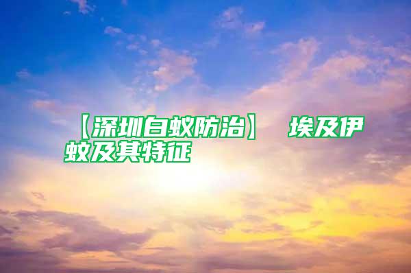 【深圳白蟻防治】 埃及伊蚊及其特征