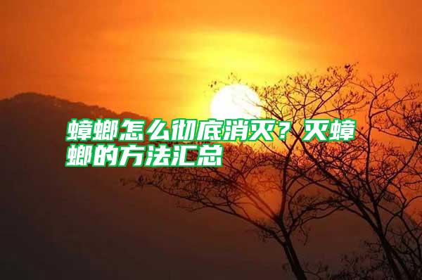 蟑螂怎么徹底消滅?滅蟑螂的方法匯總