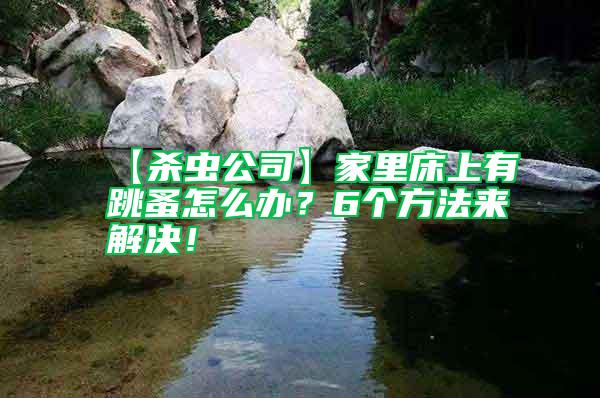 【殺蟲公司】家里床上有跳蚤怎么辦？6個方法來解決！