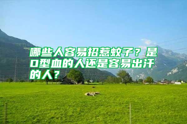 哪些人容易招惹蚊子？是O型血的人還是容易出汗的人？