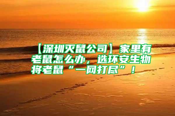 【深圳滅鼠公司】家里有老鼠怎么辦，選環安生物將老鼠“一網打盡”！