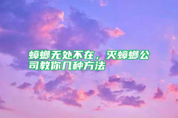 蟑螂無處不在，滅蟑螂公司教你幾種方法