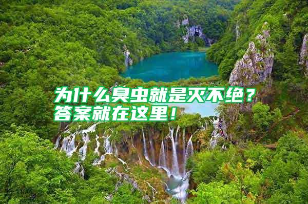 為什么臭蟲就是滅不絕？答案就在這里！