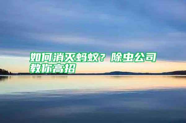 如何消滅螞蟻?除蟲公司教你高招