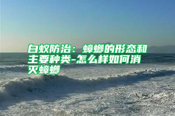 白蟻防治:蟑螂的形態(tài)和主要種類(lèi)-怎么樣如何消滅蟑螂