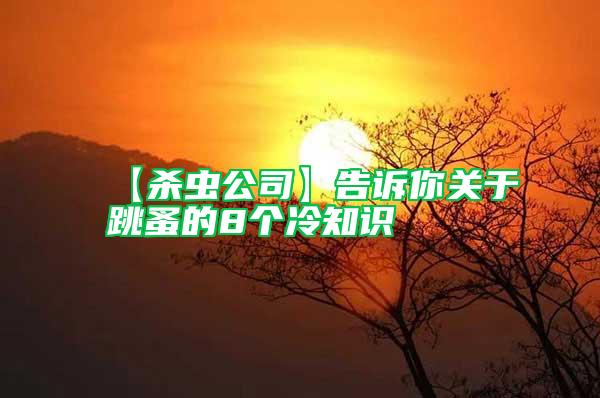 【殺蟲公司】告訴你關(guān)于跳蚤的8個冷知識