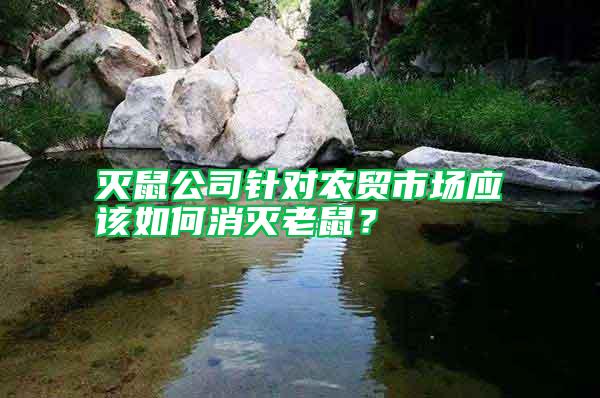 滅鼠公司針對農貿市場應該如何消滅老鼠?