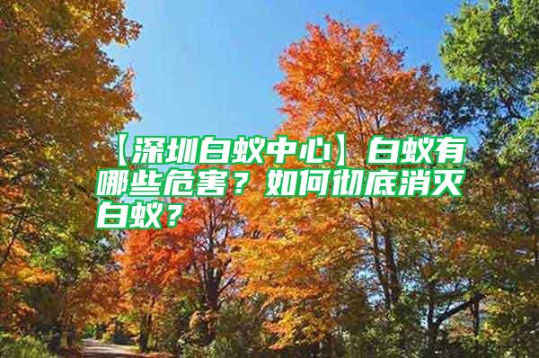 【深圳白蟻中心】白蟻有哪些危害?如何徹底消滅白蟻?
