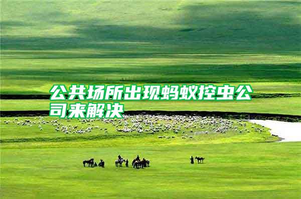 公共場(chǎng)所出現(xiàn)螞蟻控蟲公司來(lái)解決