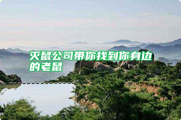 滅鼠公司帶你找到你身邊的老鼠