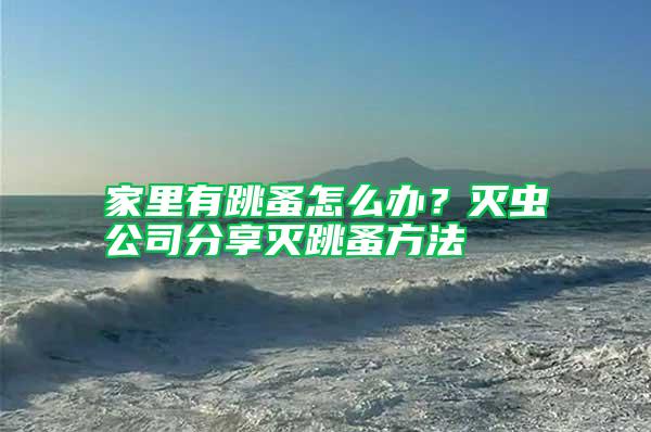 家里有跳蚤怎么辦？滅蟲(chóng)公司分享滅跳蚤方法