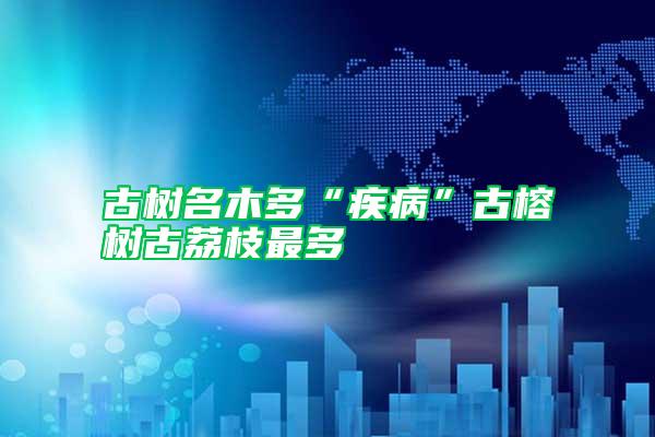 古樹名木多“疾病”古榕樹古荔枝最多