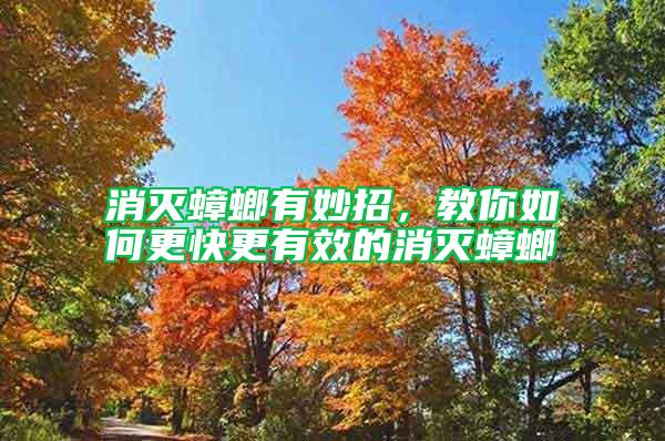 消滅蟑螂有妙招,教你如何更快更有效的消滅蟑螂