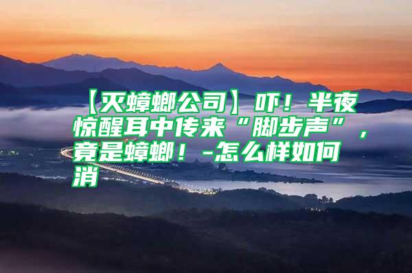 【滅蟑螂公司】嚇!半夜驚醒耳中傳來“腳步聲”,竟是蟑螂!-怎么樣如何消
