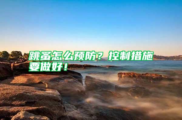 跳蚤怎么預防?控制措施要做好!
