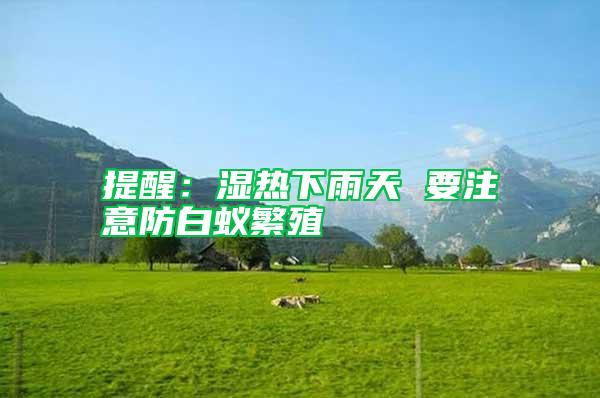 提醒:濕熱下雨天 要注意防白蟻繁殖