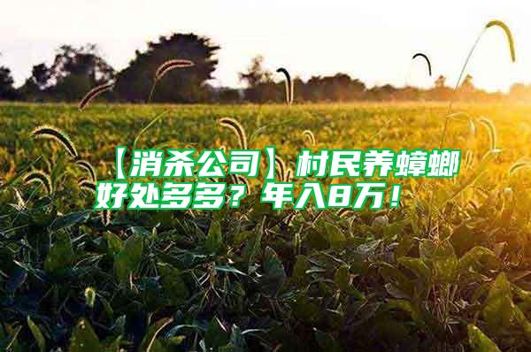 【消殺公司】村民養蟑螂好處多多？年入8萬！