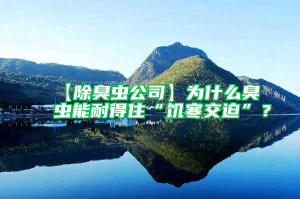 【除臭蟲公司】為什么臭蟲能耐得住“饑寒交迫”?