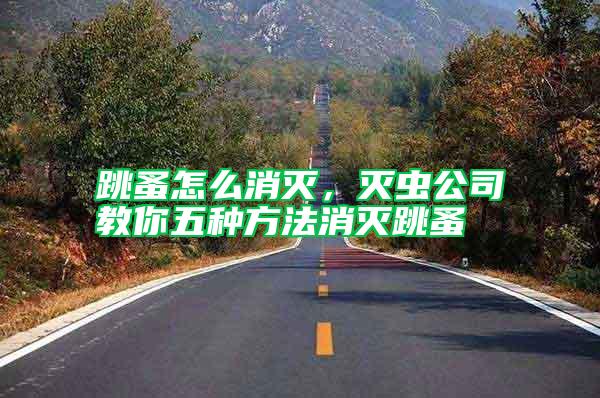跳蚤怎么消滅,滅蟲公司教你五種方法消滅跳蚤