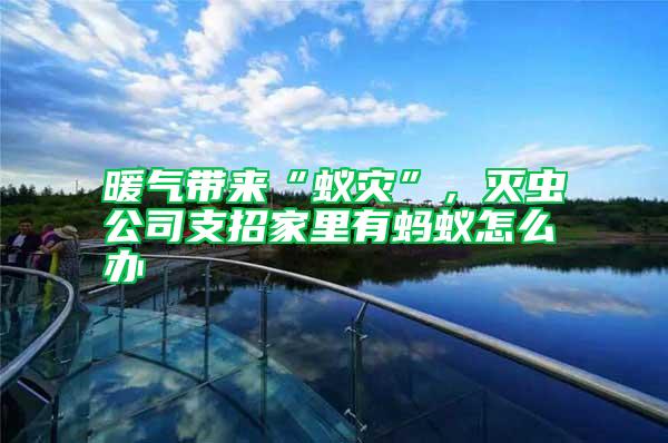 暖氣帶來“蟻災”，滅蟲公司支招家里有螞蟻怎么辦