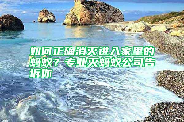 如何正確消滅進入家里的螞蟻?專業(yè)滅螞蟻公司告訴你