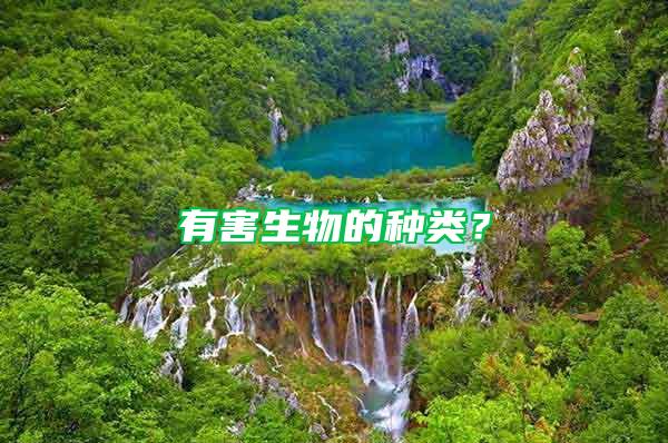 有害生物的種類?
