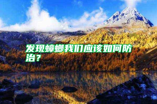 發(fā)現(xiàn)蟑螂我們應(yīng)該如何防治?