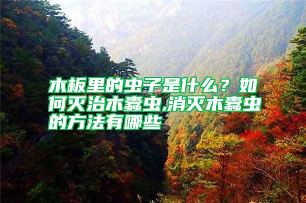 木板里的蟲子是什么?如何滅治木蠹蟲,消滅木蠹蟲的方法有哪些