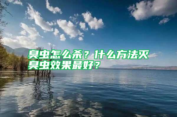 臭蟲怎么殺？什么方法滅臭蟲效果最好？