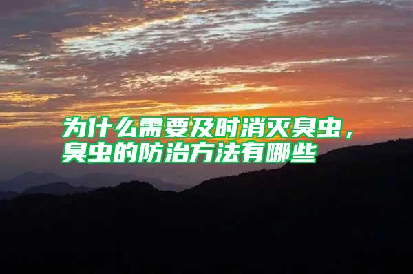 為什么需要及時(shí)消滅臭蟲(chóng)，臭蟲(chóng)的防治方法有哪些