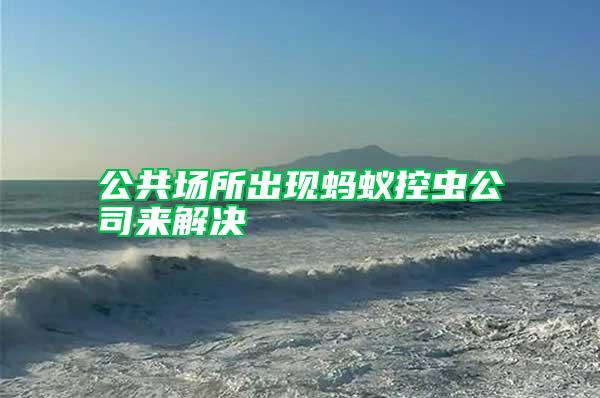 公共場(chǎng)所出現(xiàn)螞蟻控蟲公司來(lái)解決