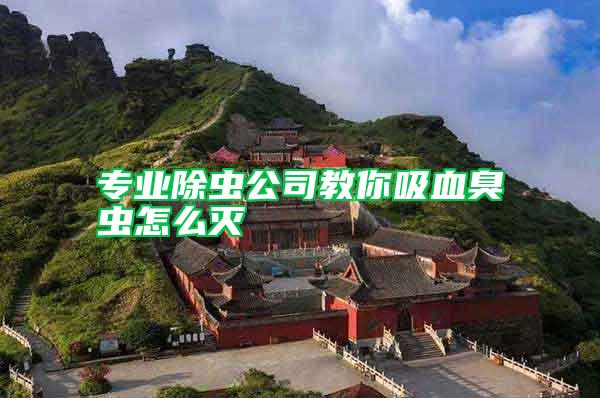 專業(yè)除蟲公司教你吸血臭蟲怎么滅