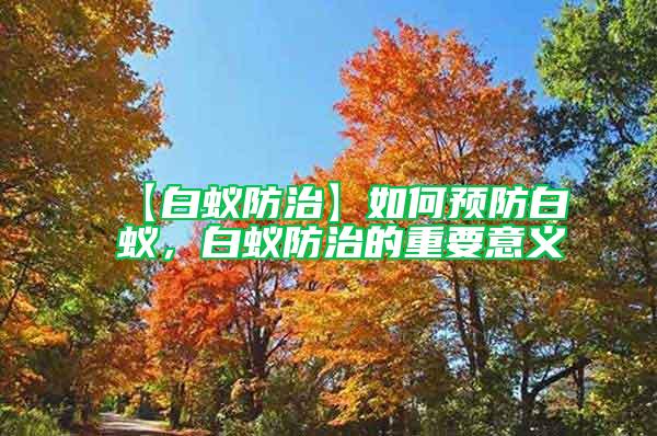 【白蟻防治】如何預防白蟻，白蟻防治的重要意義
