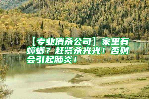 【專業消殺公司】家里有蟑螂?趕緊殺光光!否則會引起肺炎!