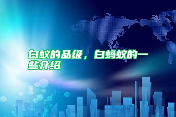 白蟻的品級,白螞蟻的一些介紹