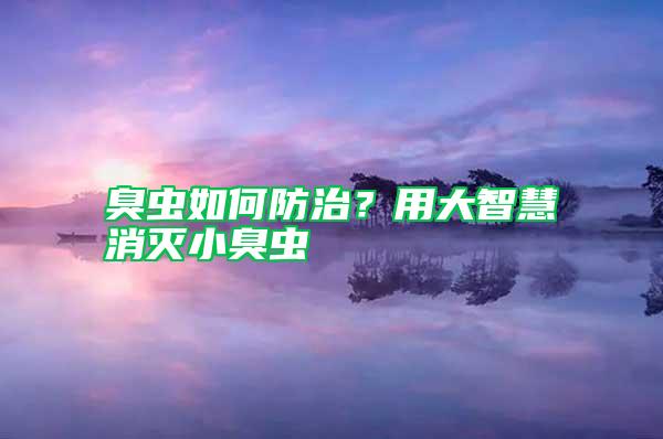臭蟲(chóng)如何防治?用大智慧消滅小臭蟲(chóng)