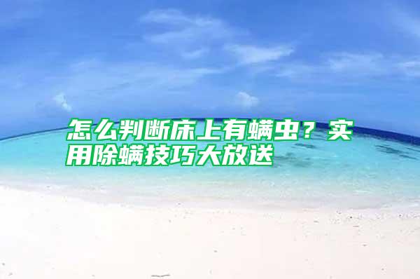 怎么判斷床上有螨蟲?實用除螨技巧大放送