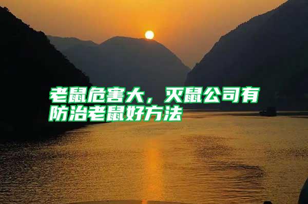 老鼠危害大，滅鼠公司有防治老鼠好方法