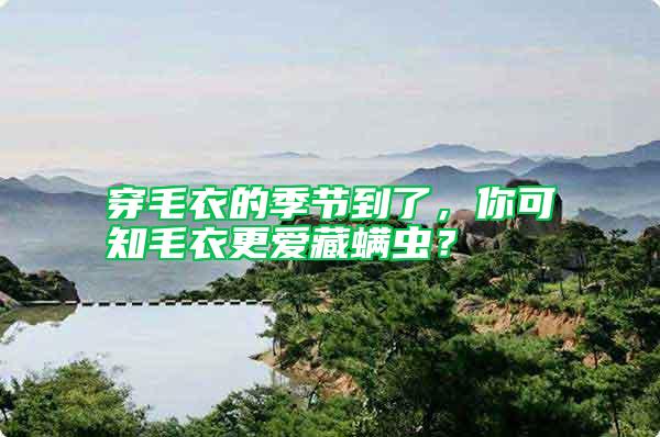 穿毛衣的季節(jié)到了,你可知毛衣更愛藏螨蟲?