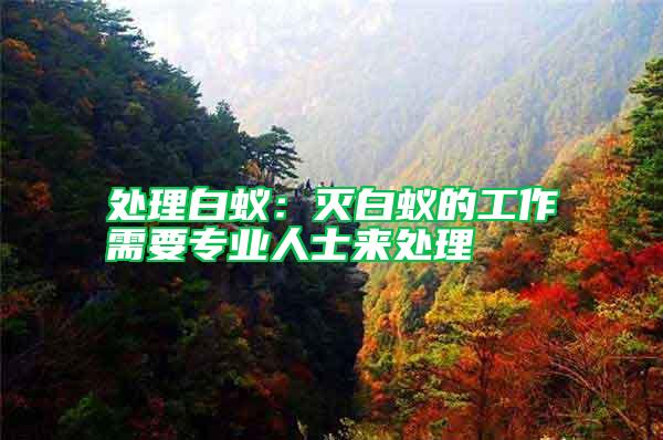 處理白蟻:滅白蟻的工作需要專業人士來處理