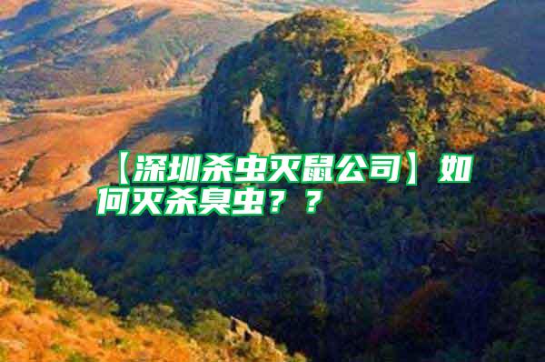 【深圳殺蟲滅鼠公司】如何滅殺臭蟲??
