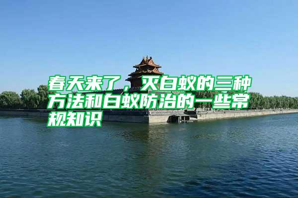 春天來了,滅白蟻的三種方法和白蟻防治的一些常規(guī)知識