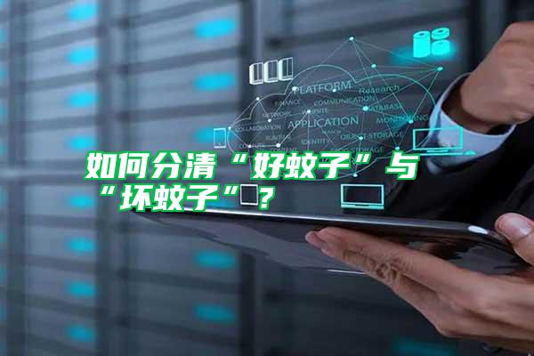 如何分清“好蚊子”與“壞蚊子”?