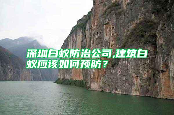 深圳白蟻防治公司,建筑白蟻應(yīng)該如何預(yù)防？