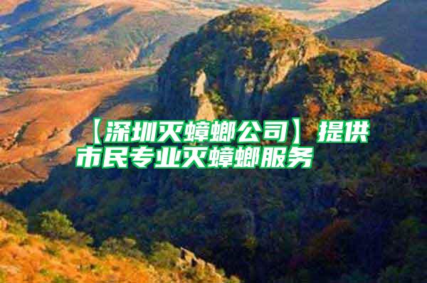 【深圳滅蟑螂公司】提供市民專業(yè)滅蟑螂服務