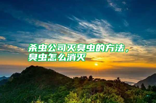 殺蟲公司滅臭蟲的方法，臭蟲怎么消滅