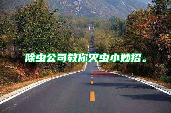 除蟲公司教你滅蟲小妙招。