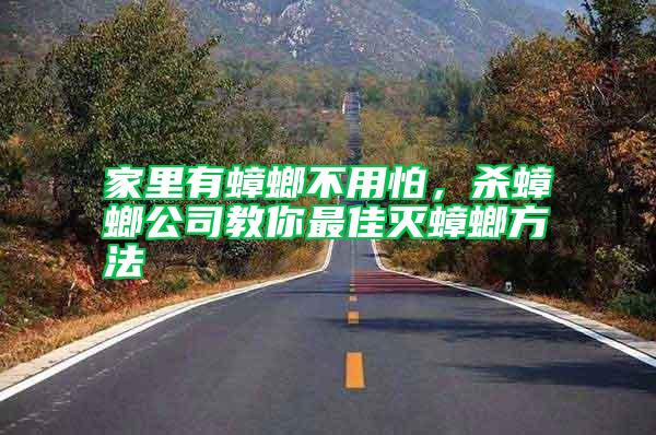 家里有蟑螂不用怕，殺蟑螂公司教你最佳滅蟑螂方法