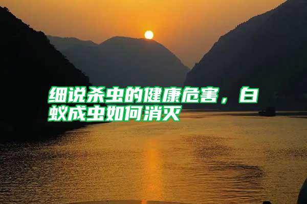 細(xì)說殺蟲的健康危害，白蟻成蟲如何消滅